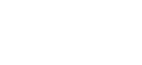 電子版